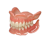 Materials-Provivic-Denture-Base-1