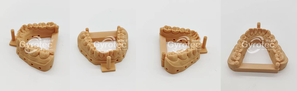 齿科模型