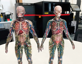 Mimakis Full-Color 3D Printed Anatomical Model Wins ENVI Award 2021 in the 