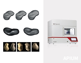 APIUM helps scientific research on 3D printed navicular bone prosthesis